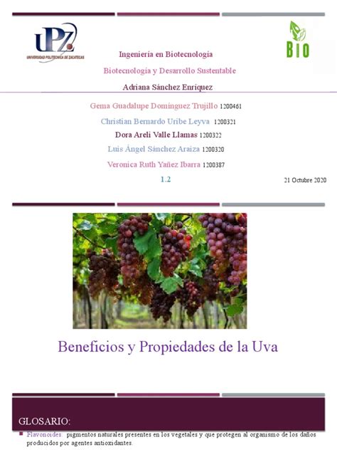 Beneficios y Propiedades de La Uva | PDF | Uva | Antioxidante