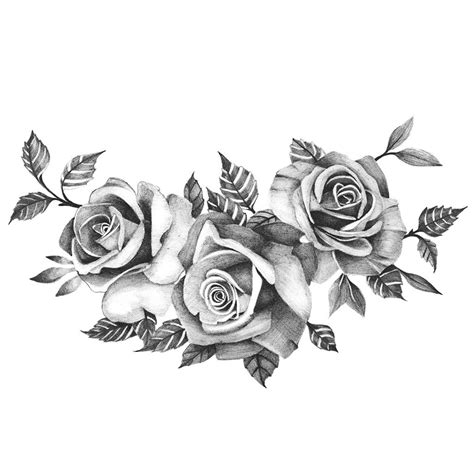 Rose Drawing Tattoo, Roses Drawing, Flower Drawing, Tattoo Drawings ...