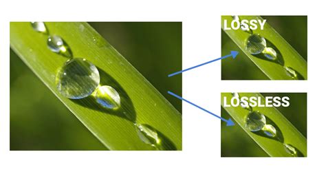 WordPress Lossless Image vs Lossy Image Compression