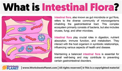 What is Intestinal Flora?