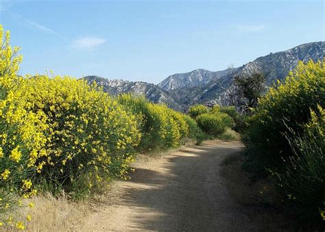 Altadena, CA 2023: Best Places to Visit - Tripadvisor