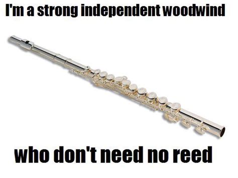 107+ Flute Memes, Jokes & Puns That'll Make Flutists Laugh Out Loud