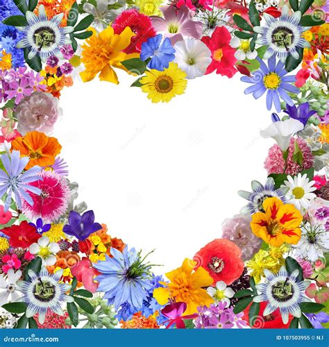 Colorful Heart Frame Made with Garden Flowers Stock Image - Image of mixed, blank: 107503955