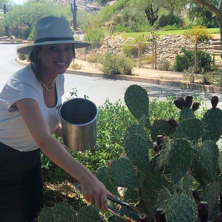 Carefree Photos - Featured Images of Carefree, Central Arizona - Tripadvisor