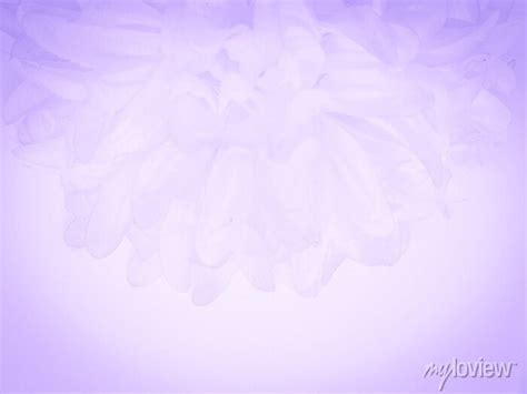 836 Background Flower Light Purple free Download - MyWeb