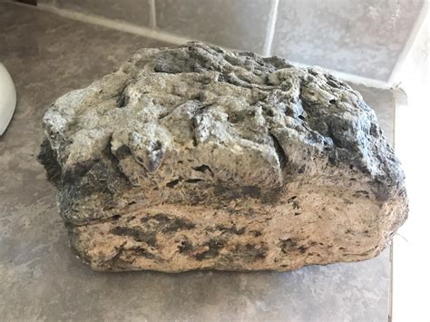 Is this fossilized poop? : Whatisthis