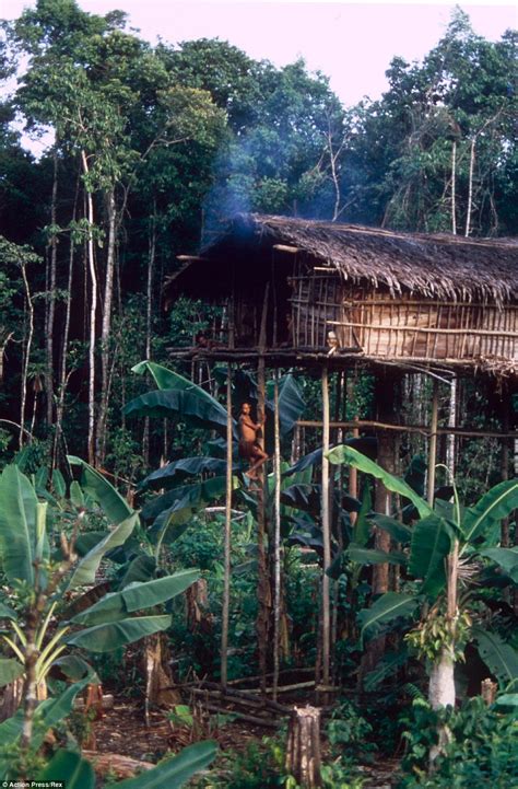 Meet the Korowai tribe of New Guinea | Daily Mail Online