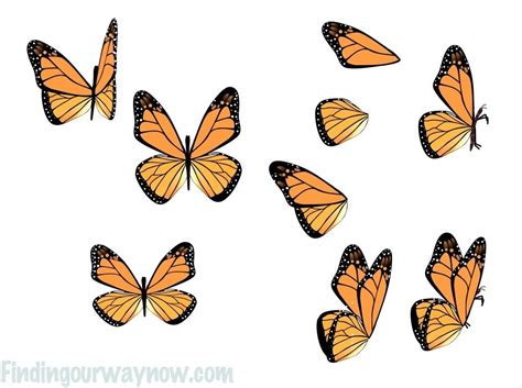 How I Draw On My iPad-Part 5 "Butterfly" - Finding Our Way Now | Monarch butterfly images ...