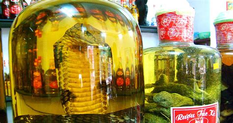 Snake Wine: Southeast Asia's Creepiest Alternative Medicine