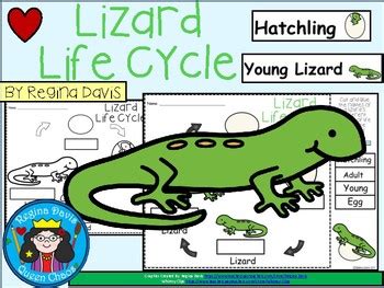 A+ Lizard Life Cycle Labeling & Word Wall by Regina Davis | TpT