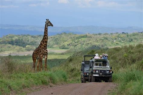 Arusha Safari Tours | Safari from Arusha » Tanzania Travel Guide