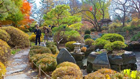 Minnesota Landscape Arboretum Pictures: View Photos & Images of ...