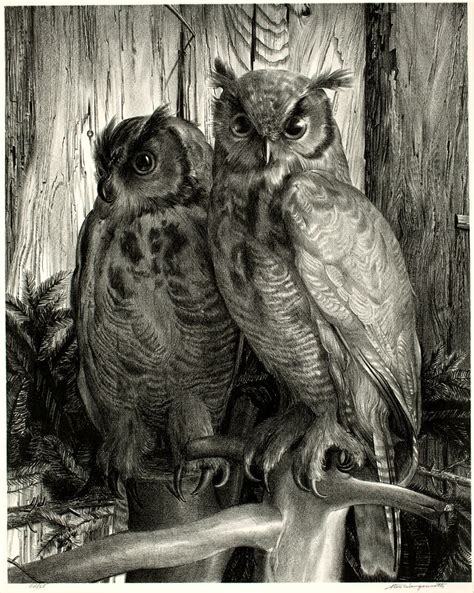 Two Owls – Madison Museum of Contemporary Art