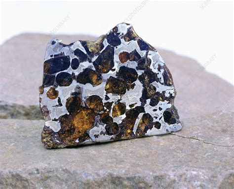 Pallasite meteorite fragment - Stock Image - C024/7027 - Science Photo ...