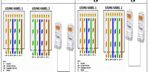 kabel rangkaian rj45 - Virginia Ferguson