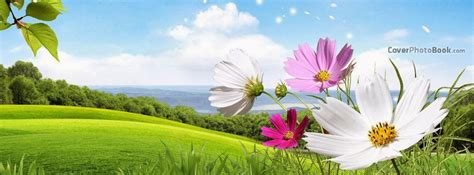 Spring Landscape Flowers Wind Facebook Cover - Nature