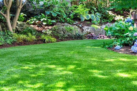 Tips for a Beautiful Lawn - Serene Surroundings, Inc.