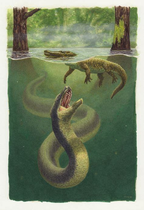 Titanoboa Fossil Real | AwakeningTopic