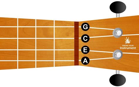 ukulele string names - Know Your Instrument