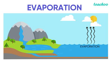 Evaporation Process Diagram