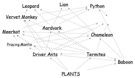 Food Fight Aardvark Food Web | Insight Maker