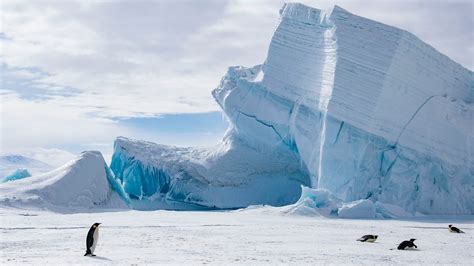 Antarctic Explorer Express | Antarctica Cruises