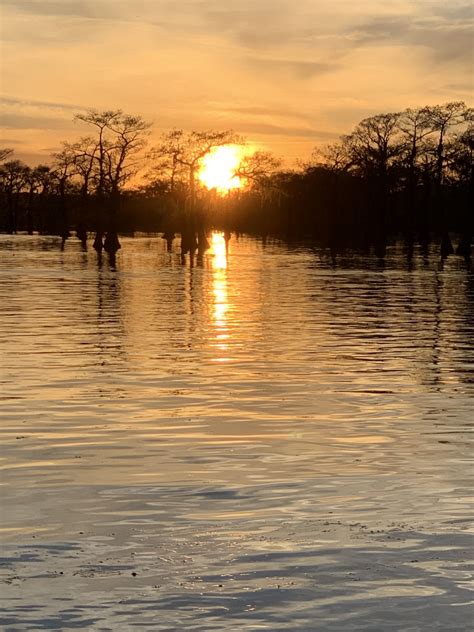 Beauty of Caddo Lake – Mossy Brake Camp Caddo Lake Swamp Tours