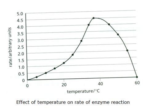 Effect Of Temperature On Catalase Activity