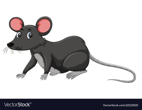 A black rat on white background Royalty Free Vector Image