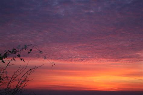 Premium Photo | Silhouette of building at sunset