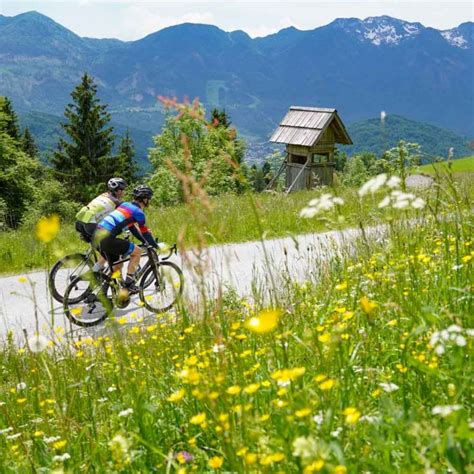 12 best cycling destinations in Europe 2025