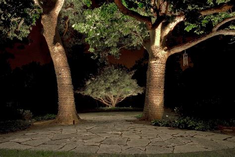 Tree Lighting - Outdoor Lighting in Chicago, IL | Outdoor Accents