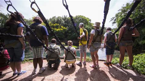 'Wild Africa Trek' Tour Returns to Disney's Animal Kingdom on February 6, 2022 - MickeyBlog.com