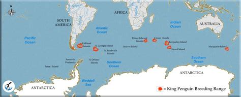 King Penguin range map | Penguins International