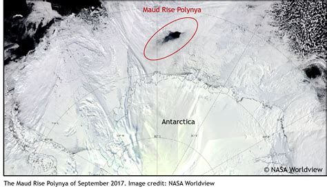 Uncovering Polynya: Research unravels 43-year-old mystery in Antarctica