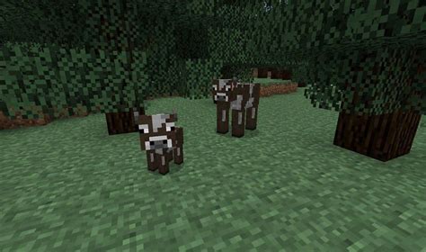 Baby Cow Minecraft