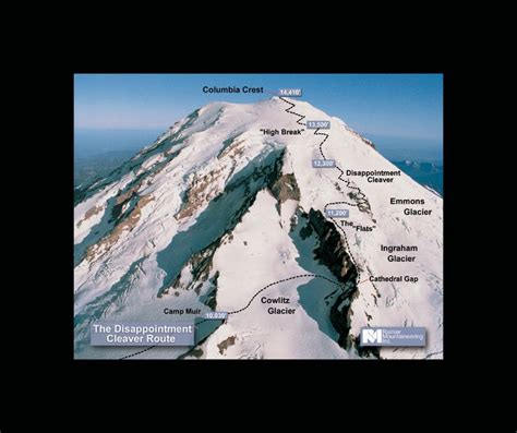 Mount Rainier Route | Rainier, Scenic byway, Outdoors adventure