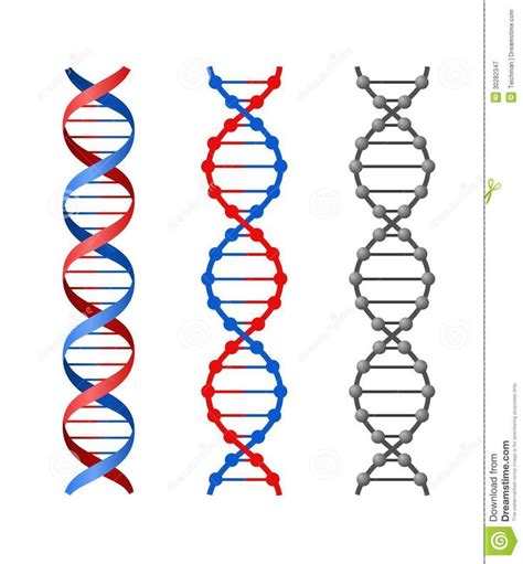 Dna Vector Free at GetDrawings | Free download