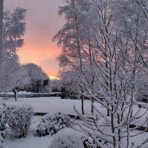 Snowy morning in Leitrim a few weeks back : r/ireland