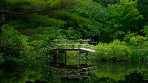 Bridge In Forest Lake Wallpapers HD / Desktop and Mobile Backgrounds