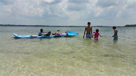 Shell Island Snorkeling & Dolphin Tours (Panama City Beach) - 2019 All You Need to Know BEFORE ...