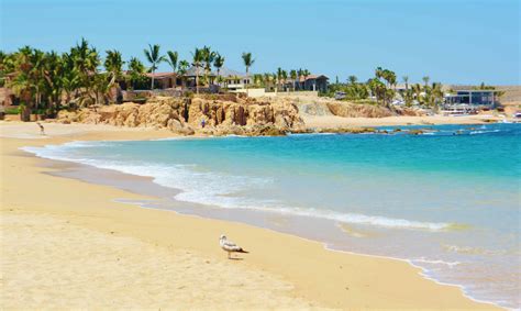 Journey to La Paz: Magical Paradise in Baja Mexico - MilesGeek