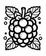 Printable Blackberry coloring Page  Download Print Or Color Online sketch template