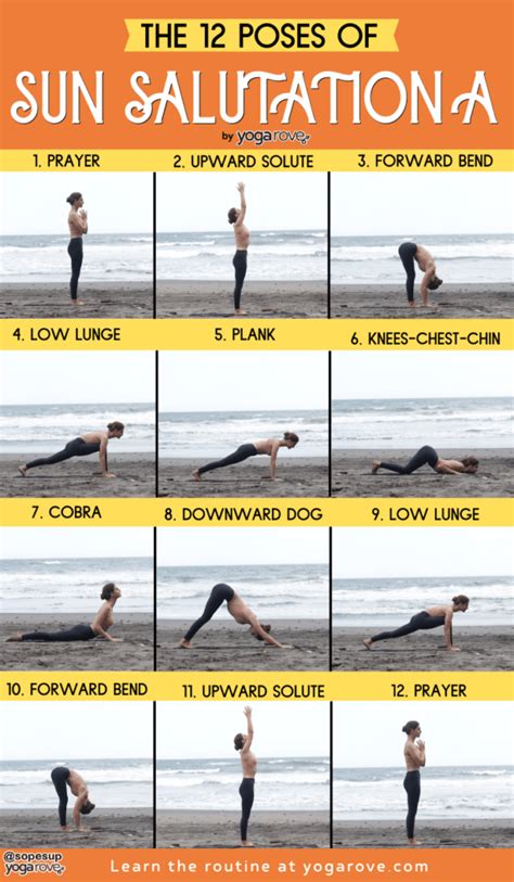 How to Do the 12 Poses of Sun Salutation for Beginners - Yoga Rove