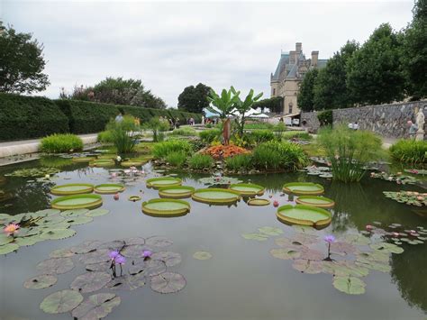 5 Reasons to Visit the Biltmore Estate in Asheville, North Carolina