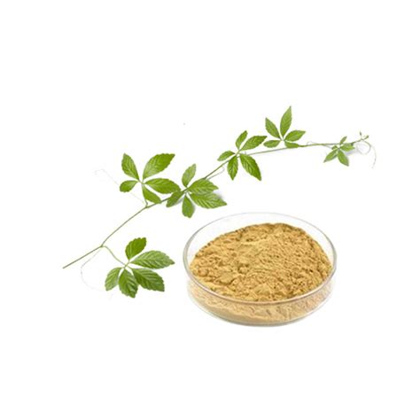 Gynostemma Pentaphyllum Extract Gypenoside 80%, 95%, 98% - China Gynostemma Pentaphyllum Extract ...