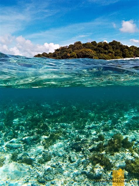 PALAWAN| Linapacan Island Hopping ~ One of the Clearest Waters in the World - Lakad Pilipinas