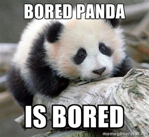 BORED PANDA MEME | Funny pictures, Bones funny, Laugh