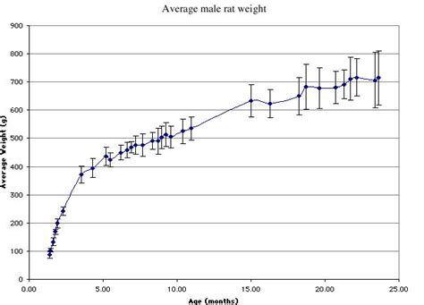 Male Rat Weight