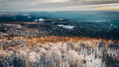 Forest Winter Panorama - Free photo on Pixabay - Pixabay